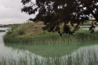 Exposición de fotos